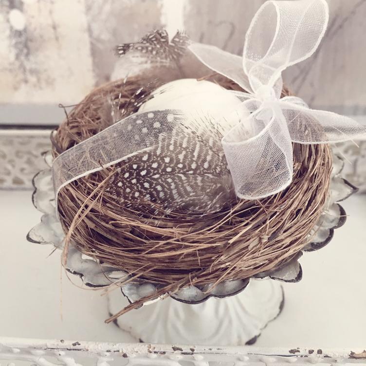 6 Eier im Nest
