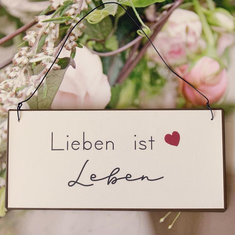 Metallschild Lieben ist...