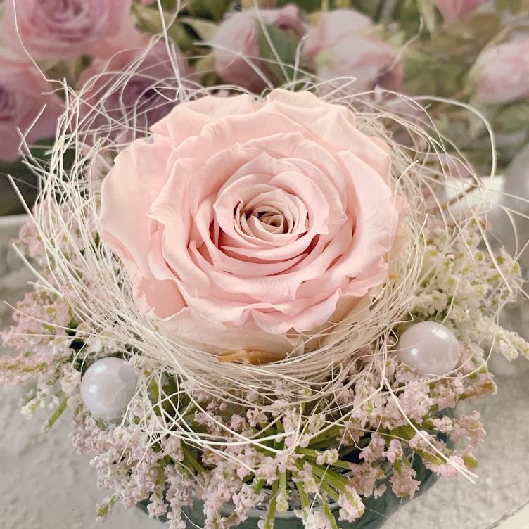 echte Rose dek. rosa - 0