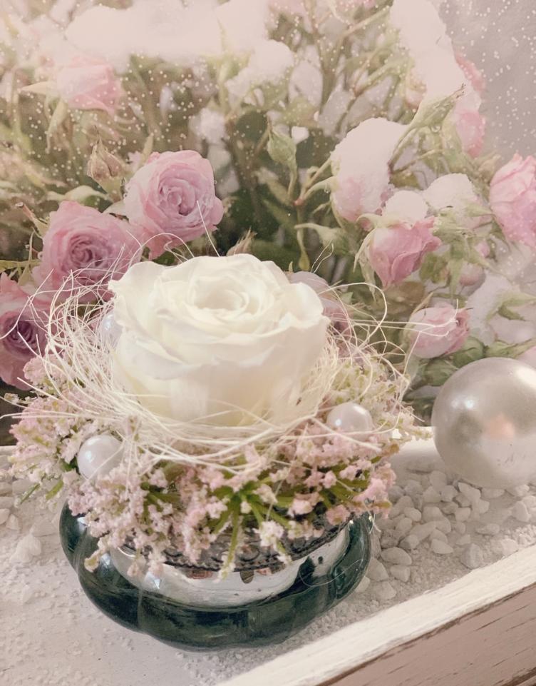 echte Rose dek. weiss