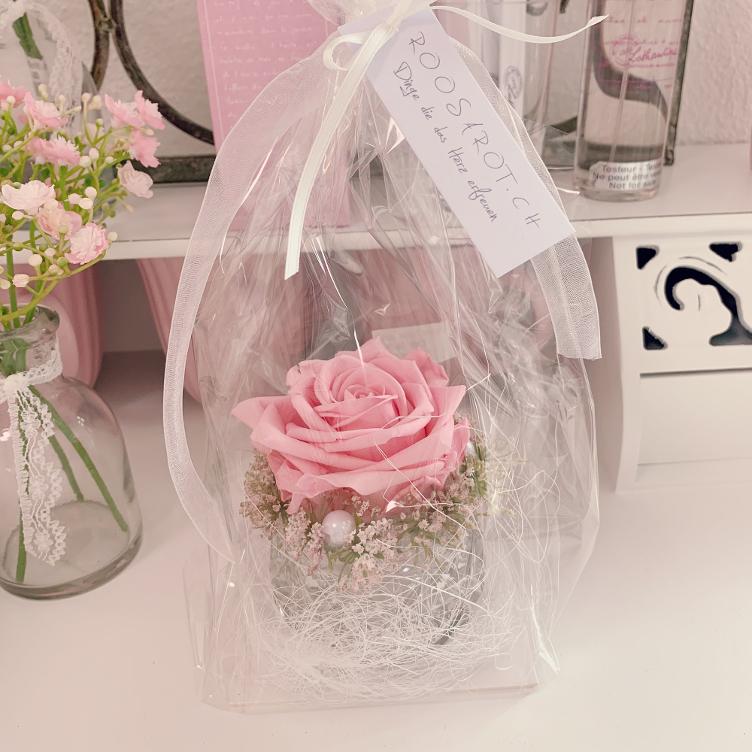 echte Rose dekoriert
