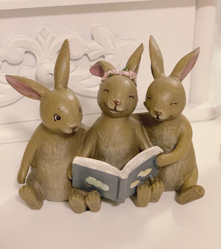 Hasenfreunde mit Buch