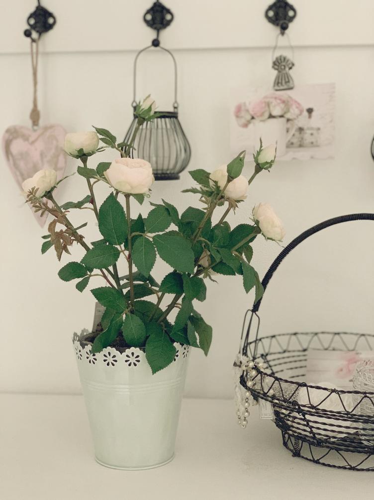 Topf antique green 15 cm