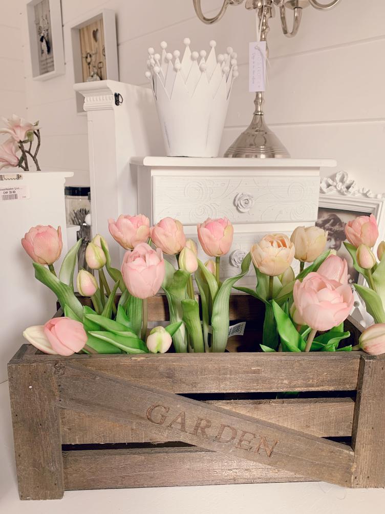 Tulpen im Topf